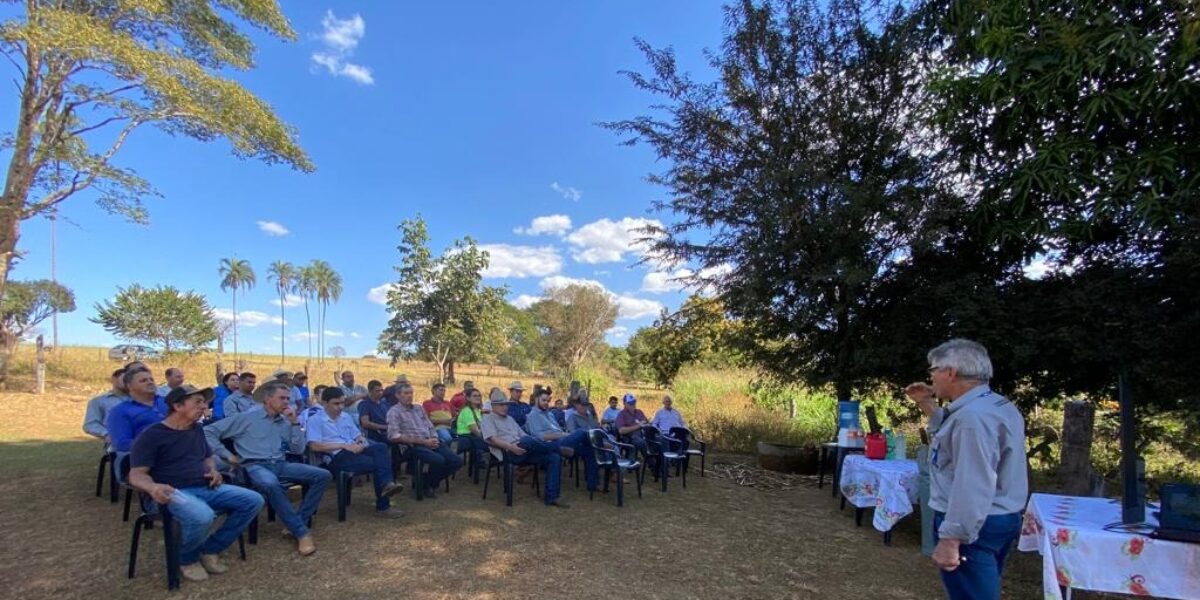 Emater realiza Dia de Campo sobre capim BRS Capiaçu em Nazário