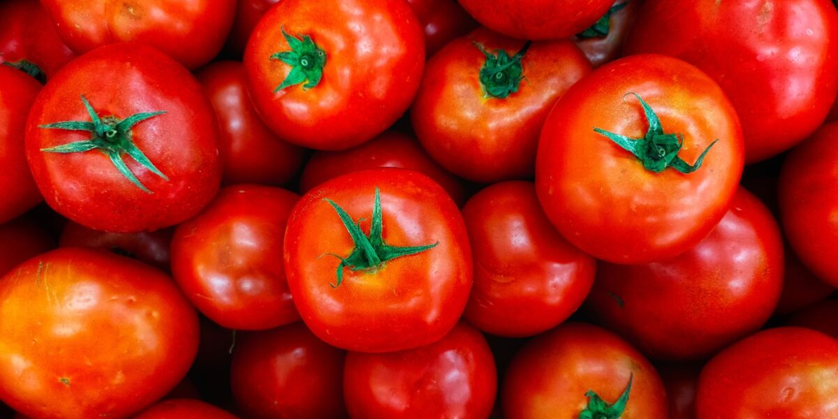 Emater realiza concurso do Melhor Tomate 2023 de Goianápolis