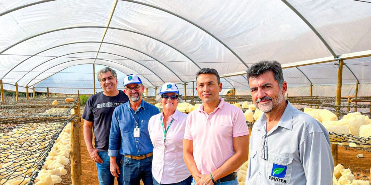 Emater visita fábrica de bucha vegetal em Pirenópolis