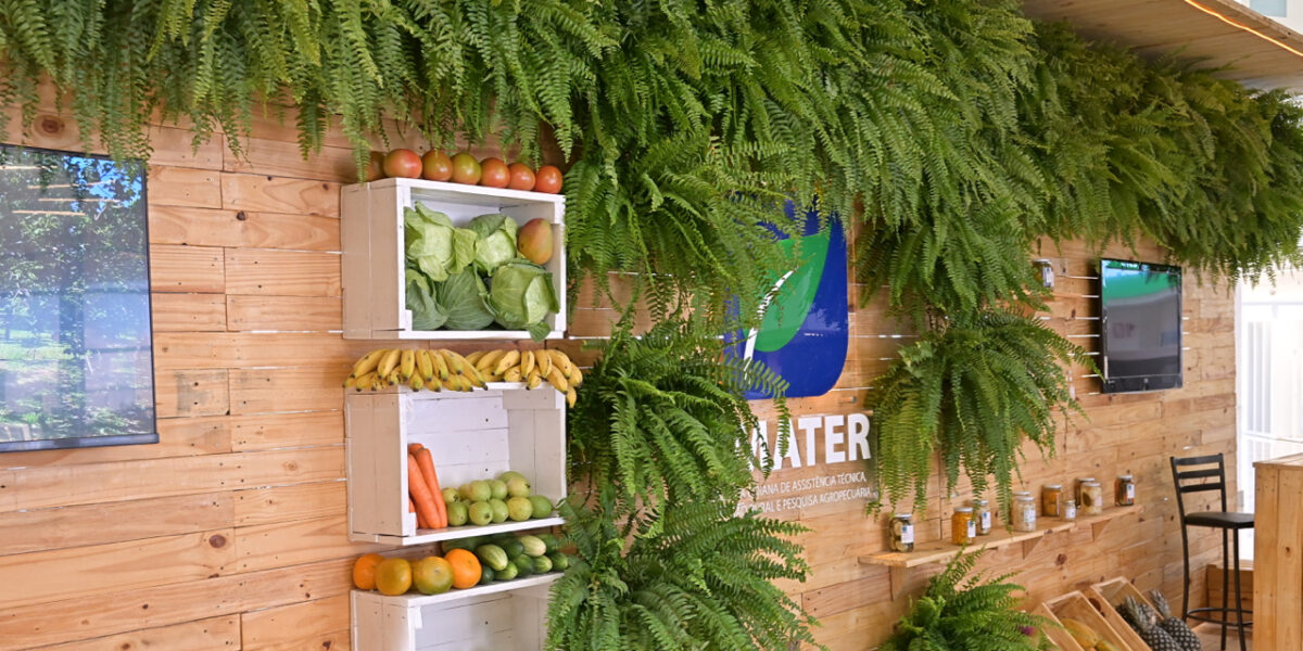 Emater inaugura exposição na Alego em comemoração à Semana Estadual da Agricultura Familiar