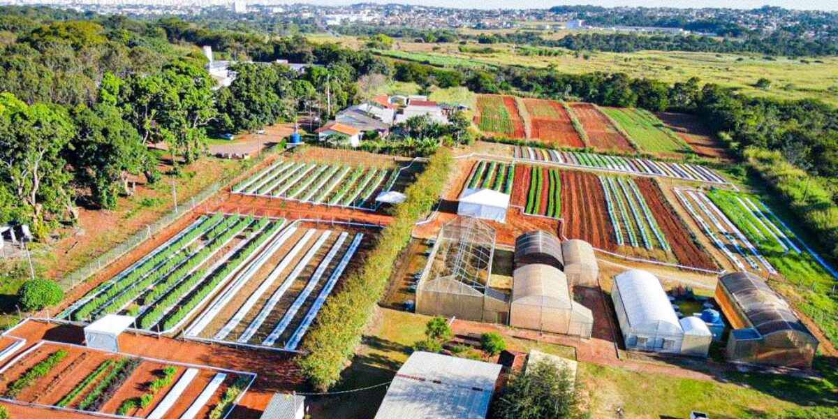 Emater visita horta da Escola de Agronomia da UFG