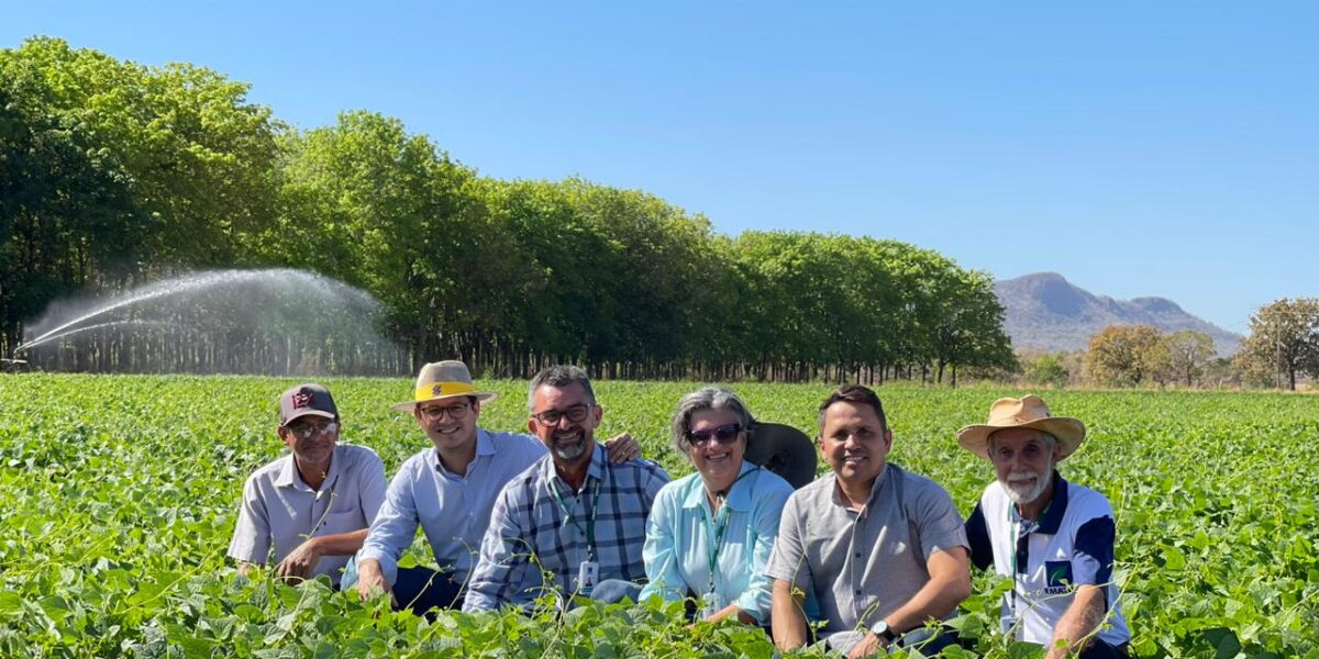 Presidente da Emater visita unidades de pesquisa no Norte goiano