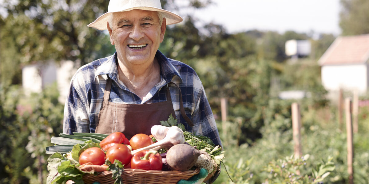 Governo de Goiás divulga resultado preliminar no PAA Goiás 2023, com 842 propostas classificadas