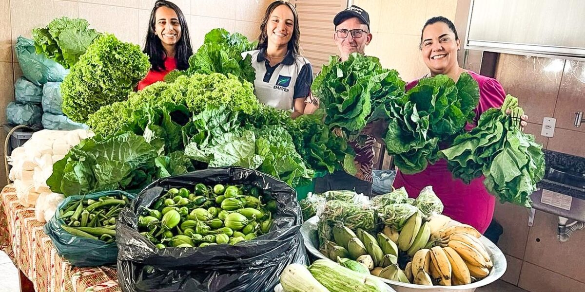 Governo de Goiás promove lançamento do PAA Goiás 2023 em Formosa nesta quinta-feira (19/10)