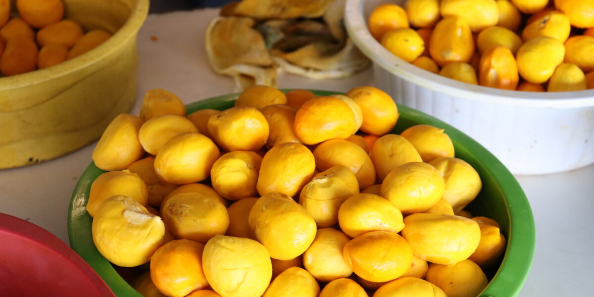 Vem aí a 3ª Festa do Pequi da Ceasa/GO