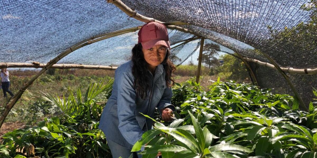 Governo de Goiás seleciona produtores para projeto de Fruticultura Irrigada do Vão do Paranã