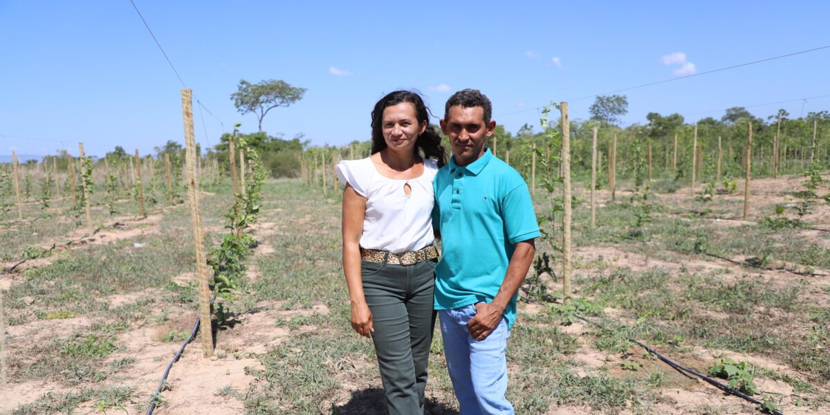Governo de Goiás prorroga seleção de produtores para projeto de Fruticultura Irrigada do Vão do Paranã