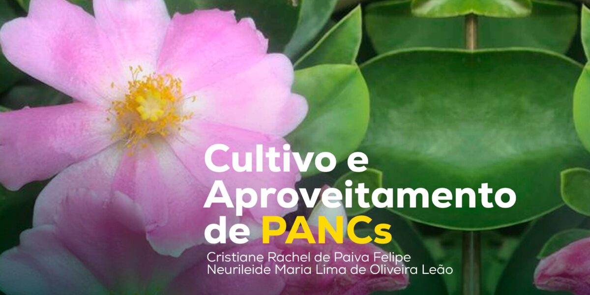 Cultivo e Aproveitamento de Pancs