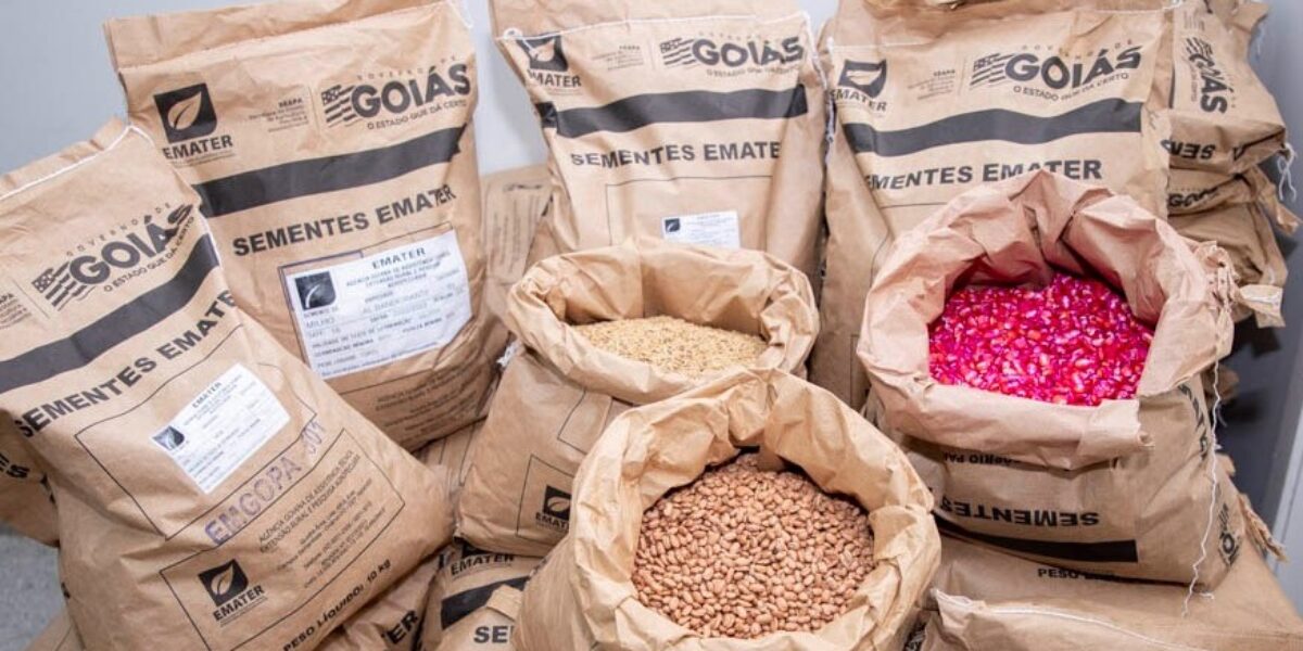 Emater comercializa sementes a preços acessíveis para agricultores familiares goianos