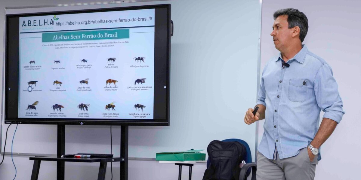 Emater promove capacitação sobre criação de abelhas sem ferrão para técnicos