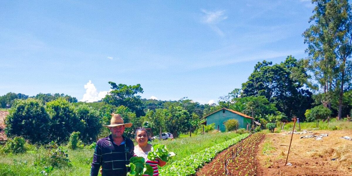 Fomento Rural: programa executado pela Emater ajuda produtores a impulsionar negócios