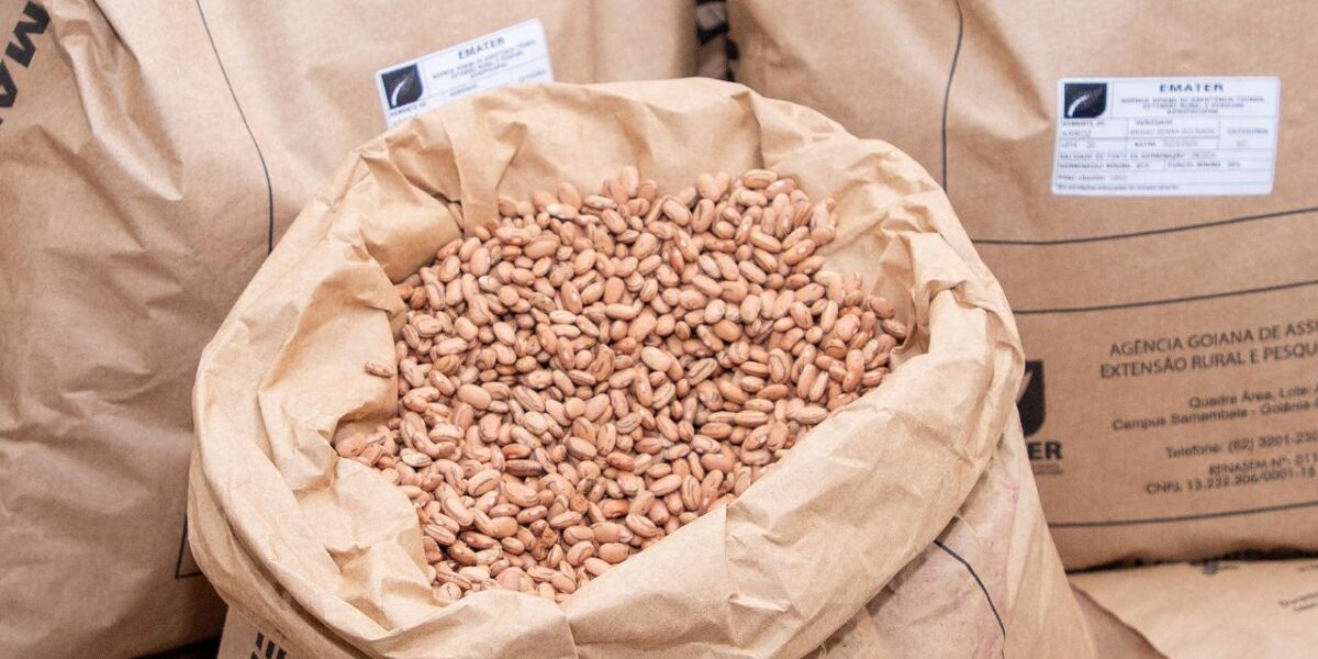 Emater marca presença na Tecnoshow com pré-lançamento de cultivar de feijão