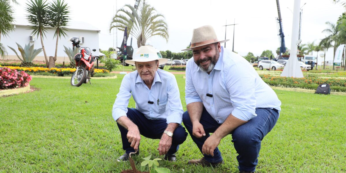 Emater, em parceria com a Comigo, planta muda de pequi sem espinho na Tecnoshow