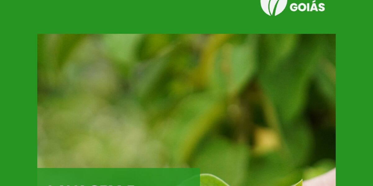 Cartilha – Lavagem e Secagem de Plantas Medicinais