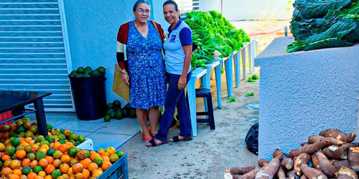 Agricultores familiares iniciam entregas de alimentos do PAA Quilombola em Cidade Ocidental