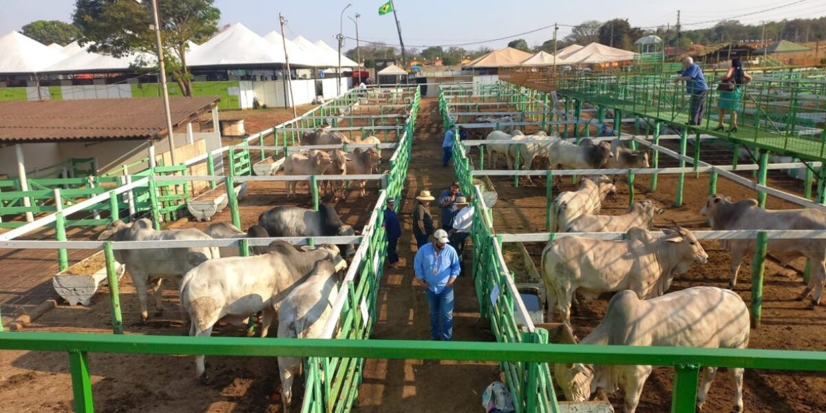Emater Goiás e ABCZ realizam edição da feira Pró-Genética em Uruana