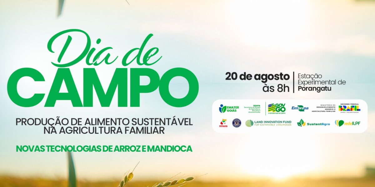 Emater Goiás promove Dia de Campo para apresentação de cultivares de arroz e mandioca