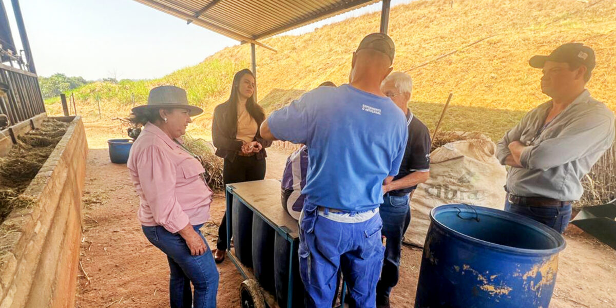 Com apoio da Emater Goiás, queijaria de Ouro Verde aprimora atividades