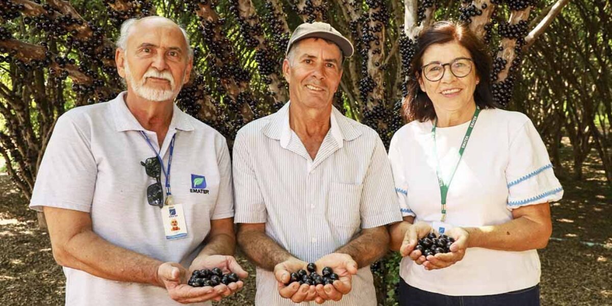 Produtor de jabuticaba, assistido pela Emater Goiás, investe em tecnologia para aumentar a produtividade