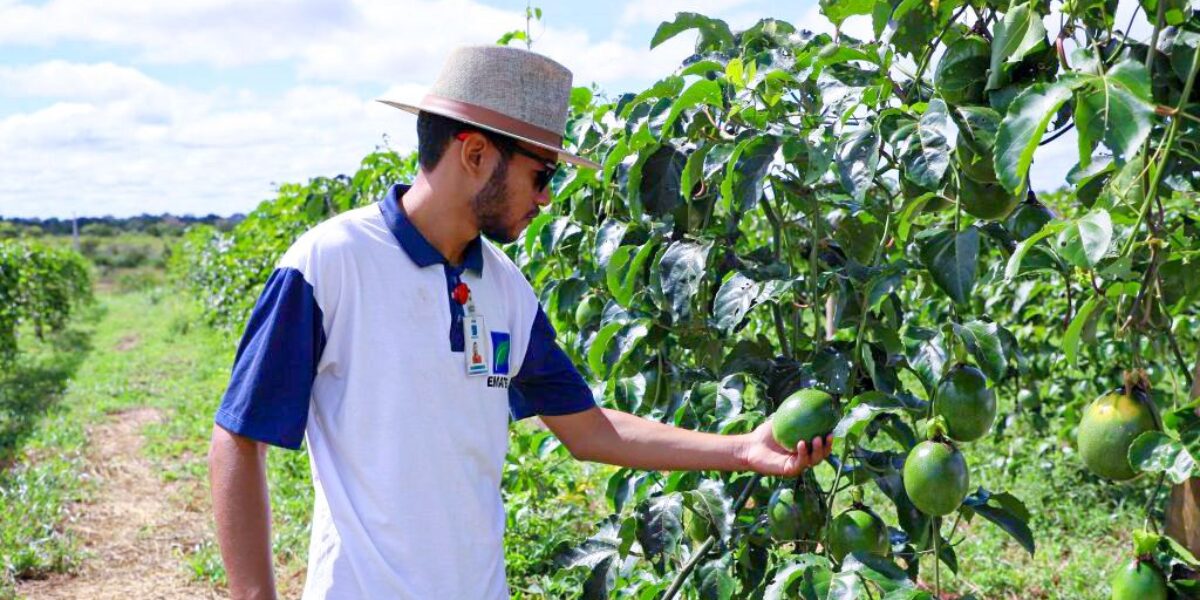 Emater Goiás prorroga prazo de inscrição para processo seletivo