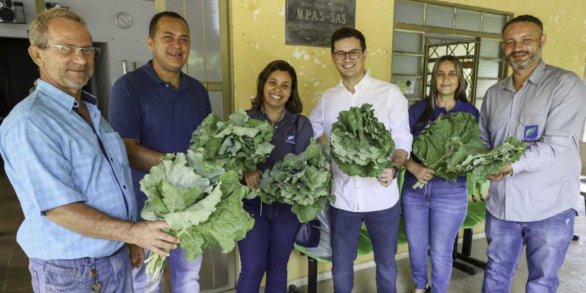Governo de Goiás aprova mais de mil propostas para o PAA Goiás 2024