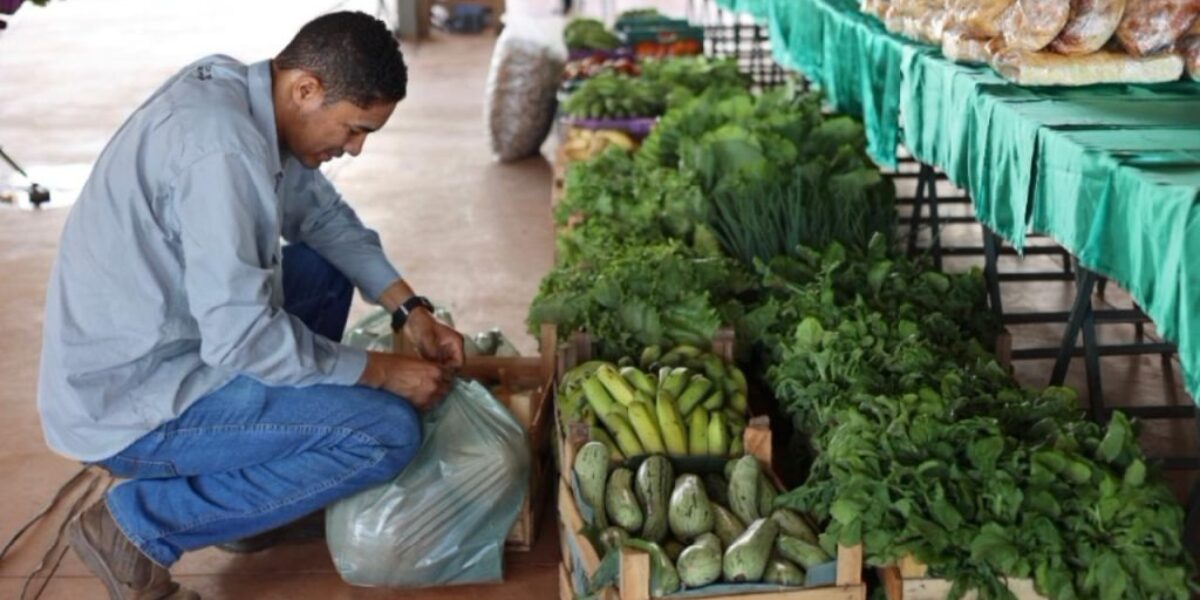 Governo de Goiás divulga resultado definitivo do PAA Goiás 2024