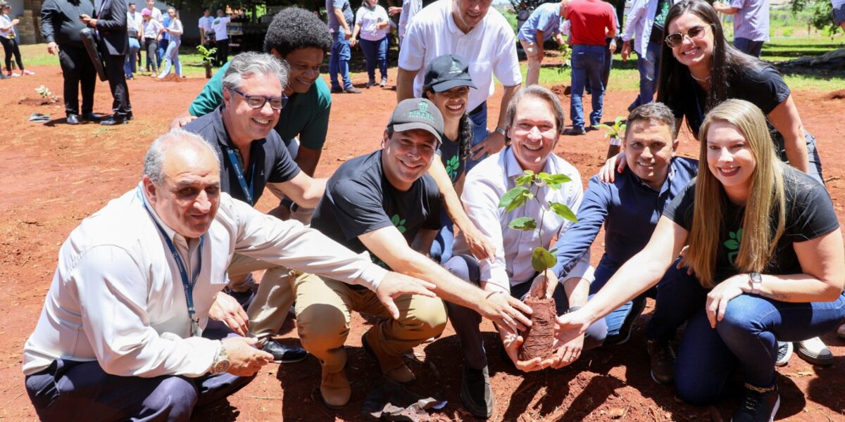 Emater Goiás realiza plantio simbólico da Virada Ambiental 2024