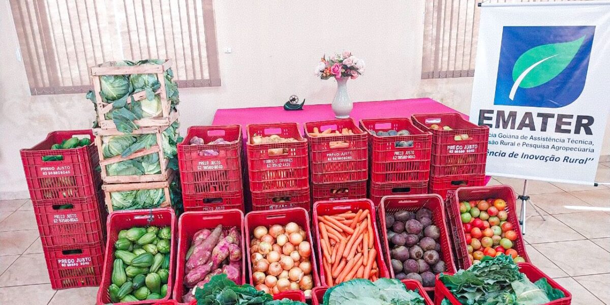 Produtores beneficiados pelo PAA Goiás iniciam entregas dos alimentos