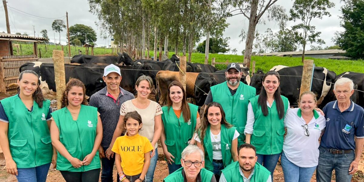 Fazendas de Taquaral de Goiás colhem resultados do projeto Bovinocultura Sustentável