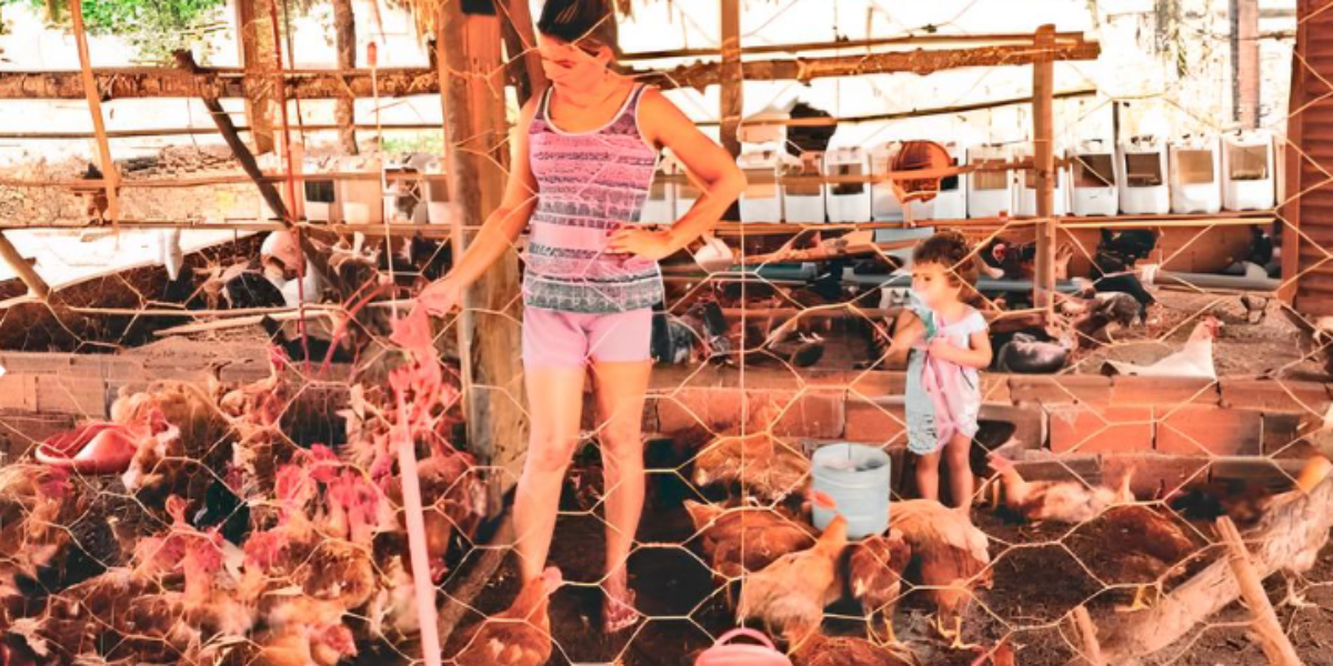 Crédito Social amplia negócios rurais em Campestre