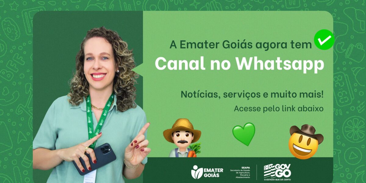 Emater Goiás lança canal público no WhatsApp