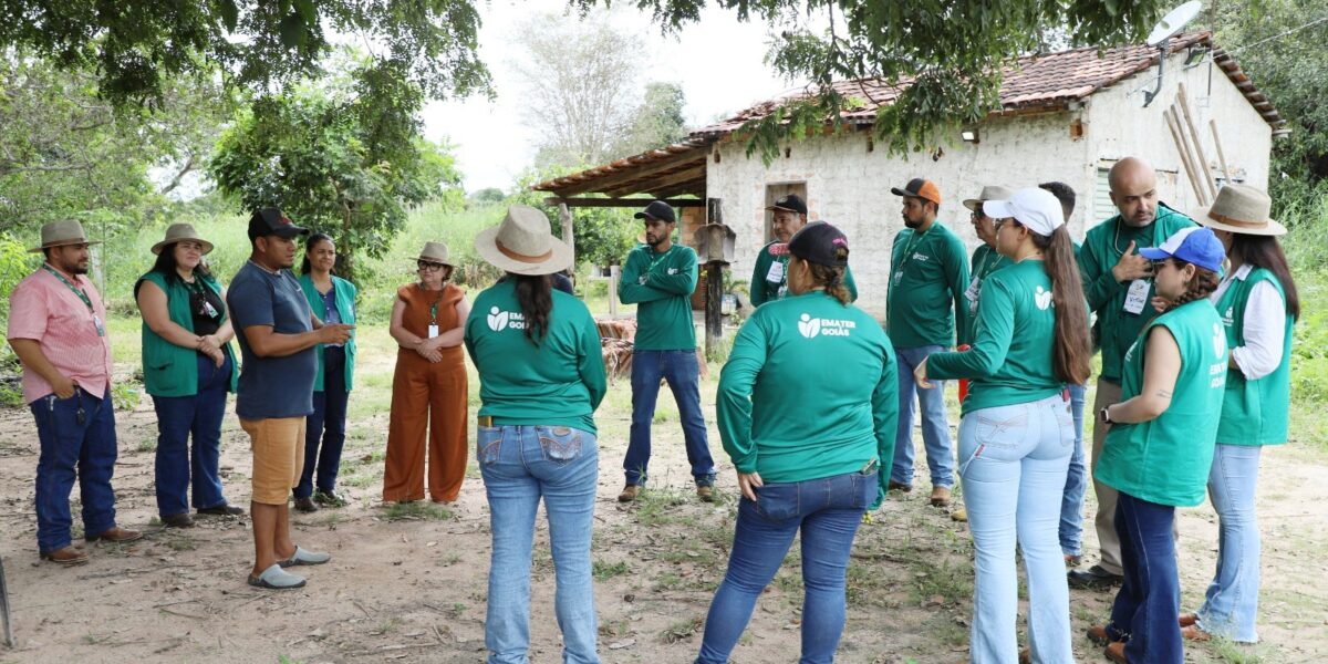Técnicos da Emater participam de imersão para fortalecer o programa Aconchego Rural, em Aruanã