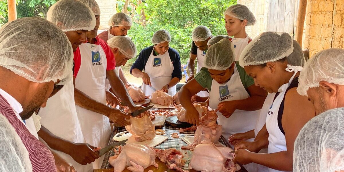 Emater Goiás realiza primeira edição do Agro é Social Quilombola no Vale do Paranã