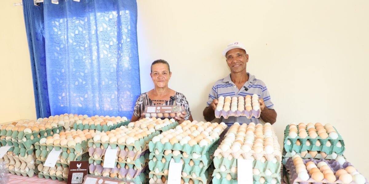 Governo de Goiás realiza pesquisa para mapear a agricultura familiar no estado