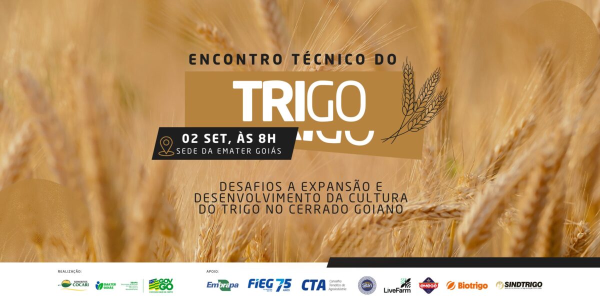 Emater Goiás promove Encontro Técnico do Trigo para debater avanços no cultivo no Cerrado