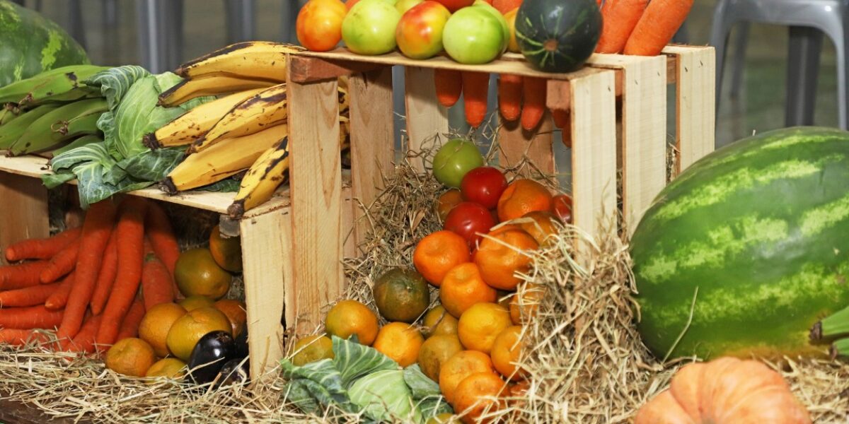 Governo de Goiás lança novo edital do Programa de Aquisição de Alimentos Estadual