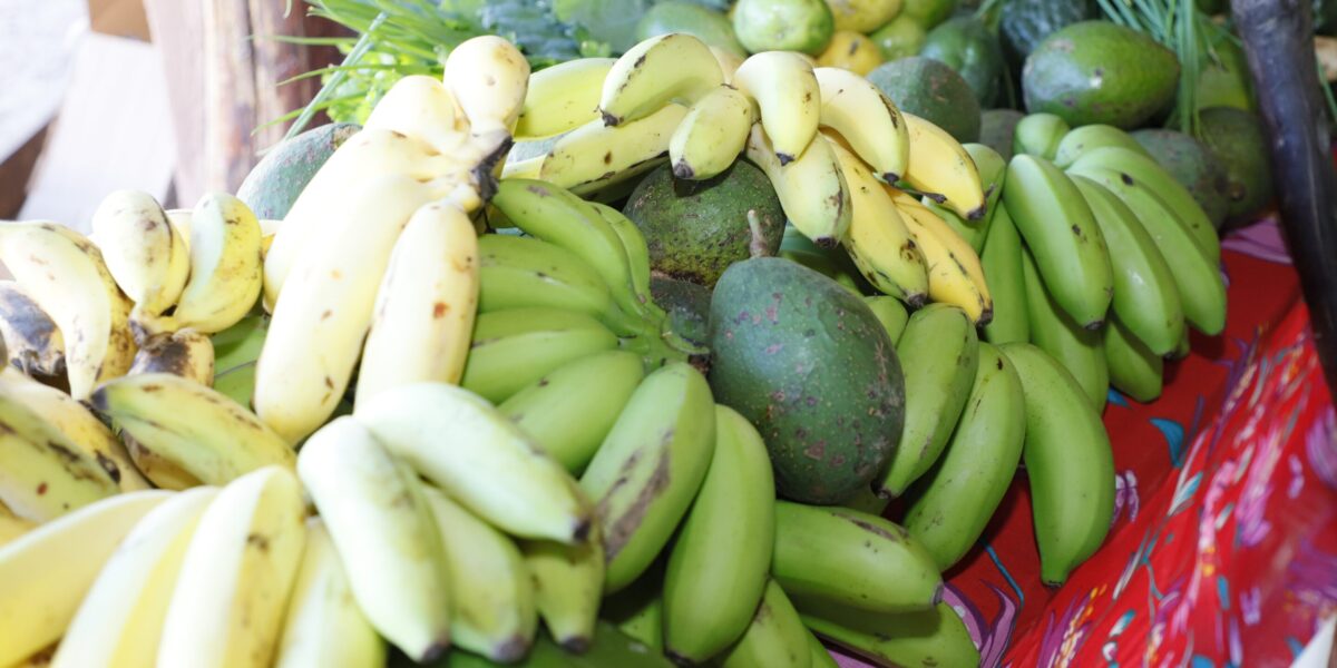 Governo de Goiás prorroga prazo de inscrições do PAA Quilombola