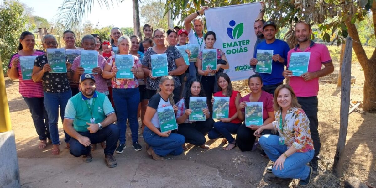 Goiás Social é a política social mais bem avaliada do País, aponta Genial/Quaest
