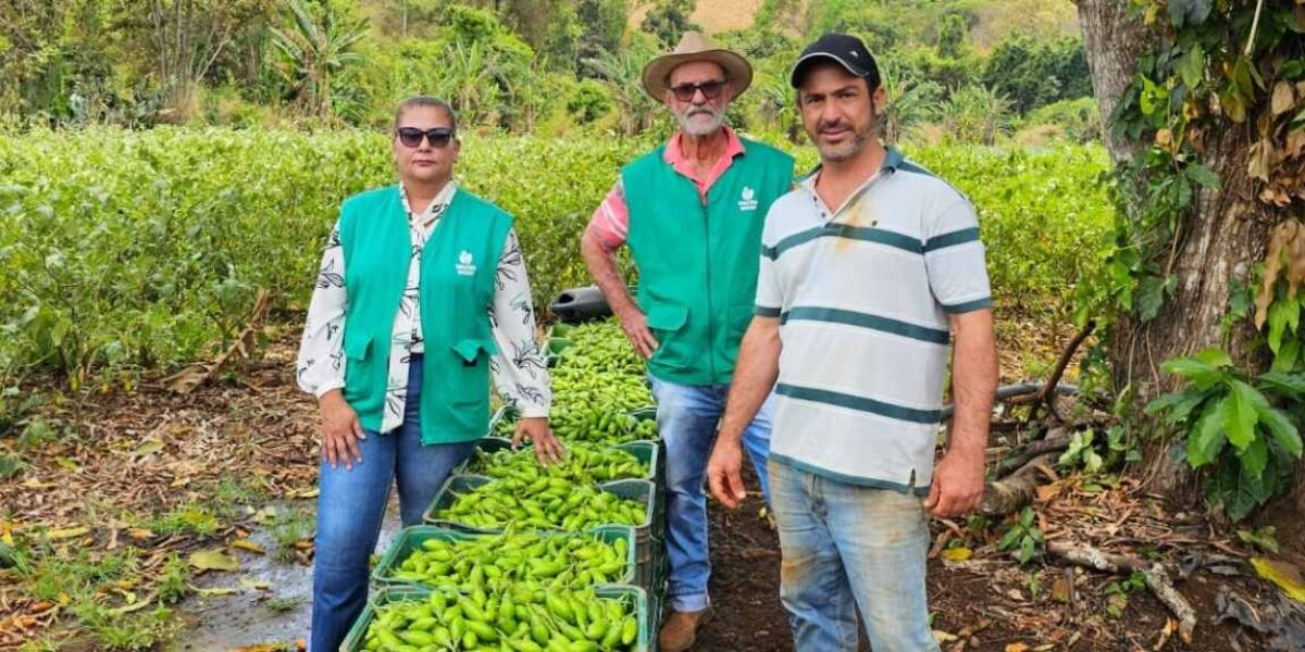 PAA Goiás 2025 bate recorde de inscrições e supera metas