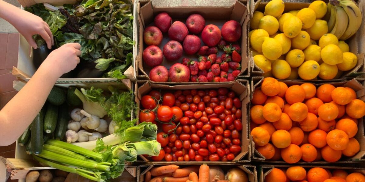 Inscrições para o PAA Goiás 2025 encerram neste sábado, 6 de setembro