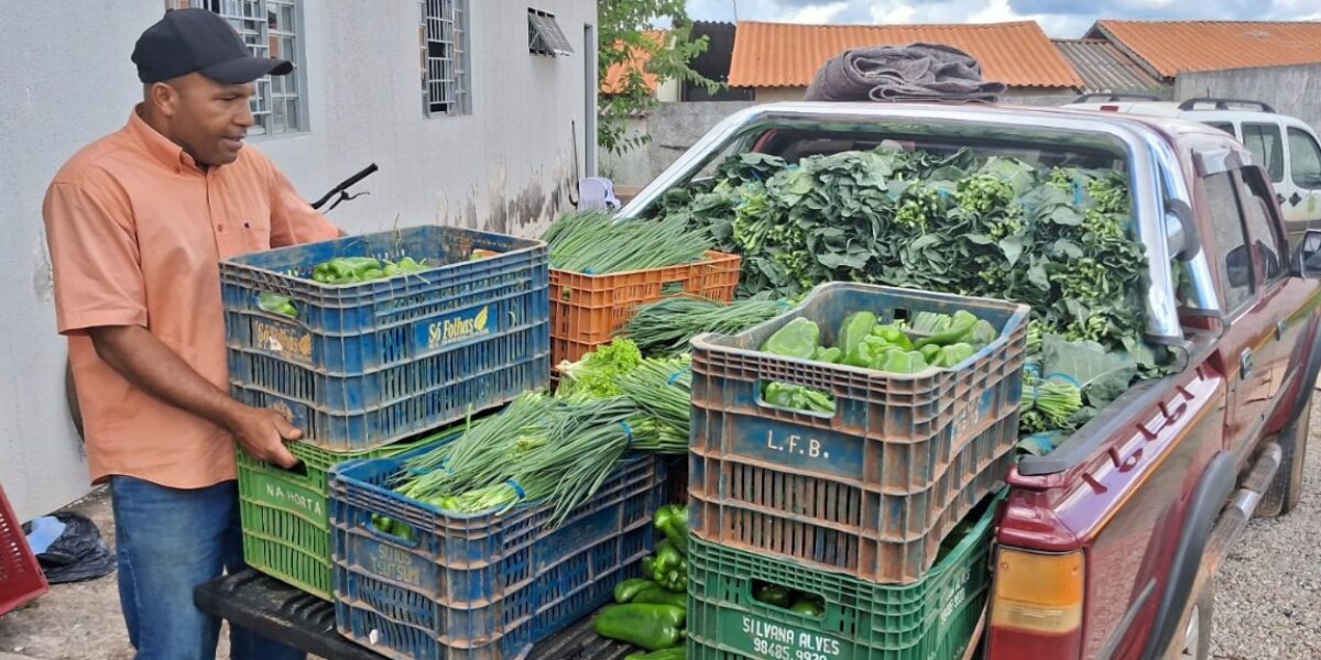 Ações da Emater contribuem para reduzir a insegurança alimentar em Goiás