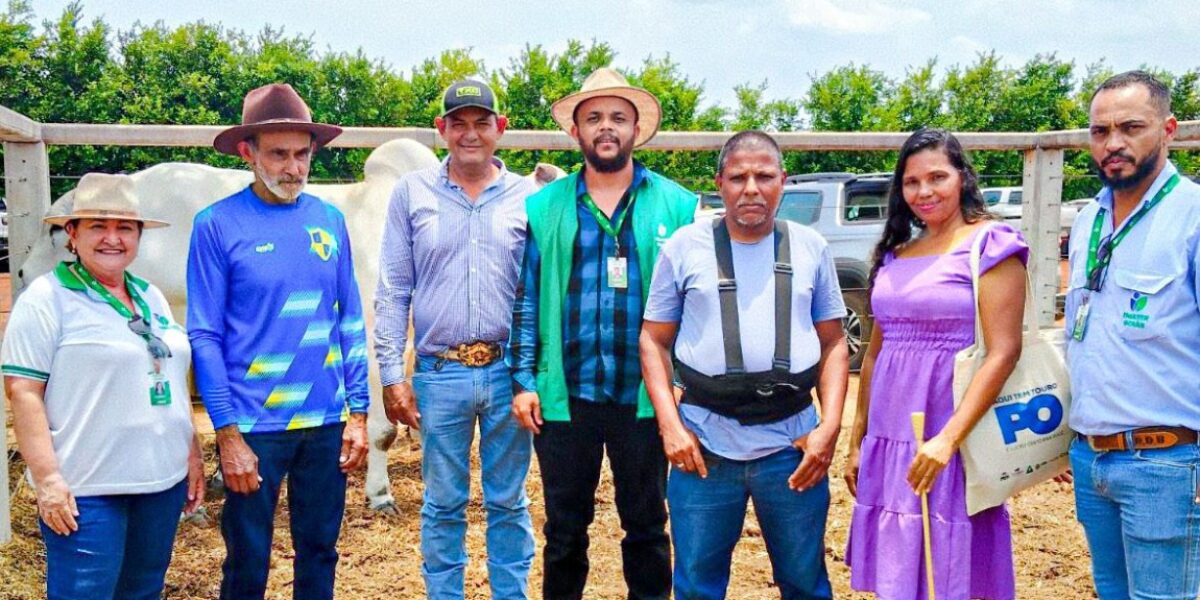 Feira Pró-Genética em Novo Planalto fortalece pecuária regional e incentiva o uso de touros melhorados