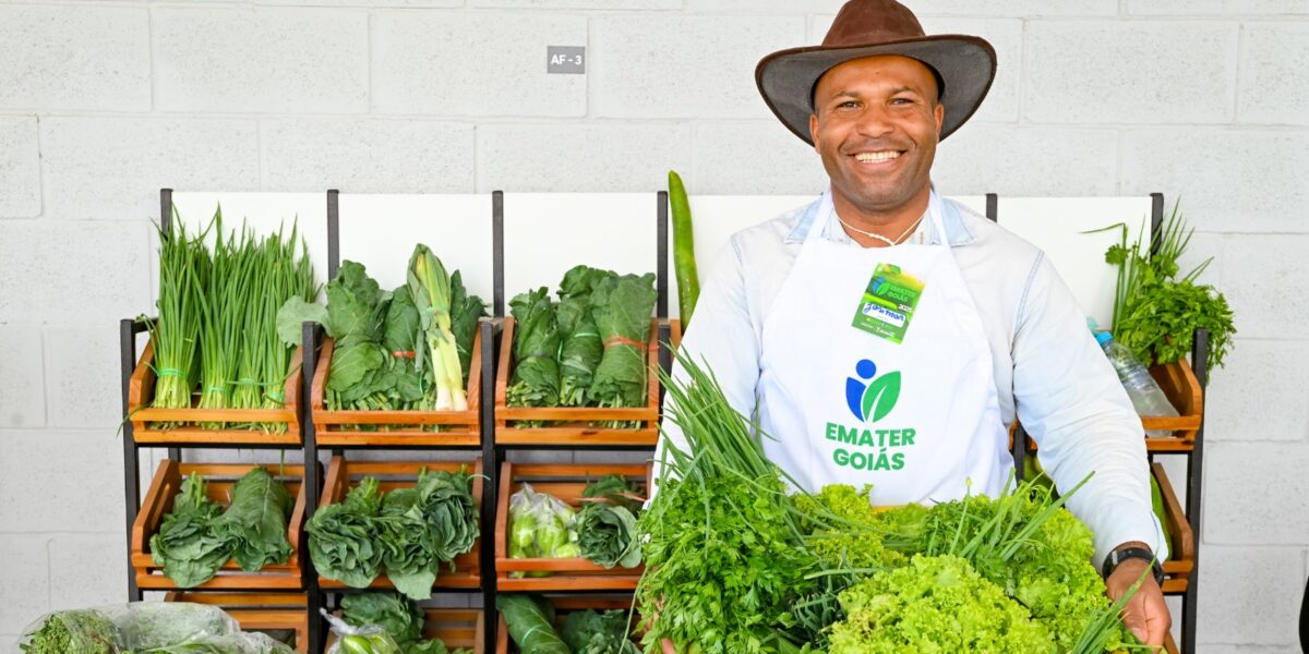 Mercadão Goiano amplia oportunidades para agricultores familiares com apoio da Emater Goiás