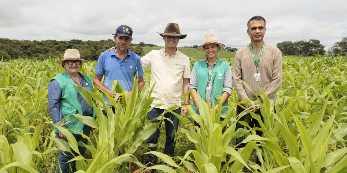 Com apoio da Emater Goiás, produtor transforma propriedade em renda e dobra rebanho em Sanclerlândia