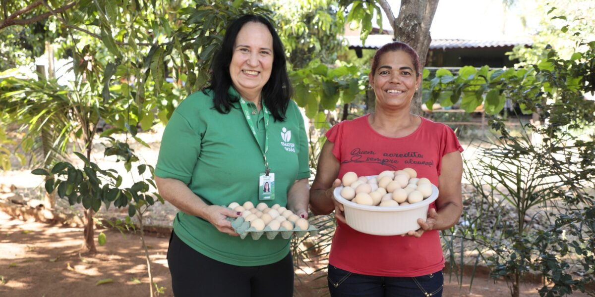 Produtora rural de Trindade triplica produção após curso de avicultura do Agro é Social