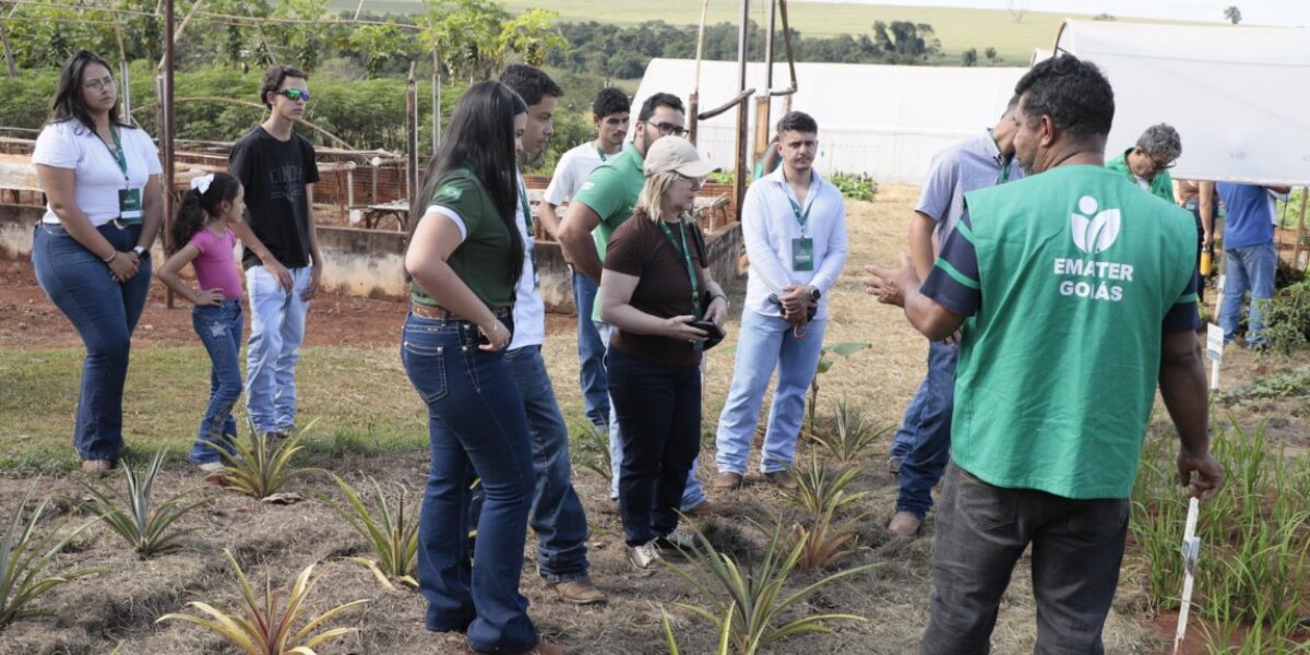 Emater Goiás implanta unidade demonstrativa e fortalece agricultura familiar durante o 5º Ceagre Agro Experience
