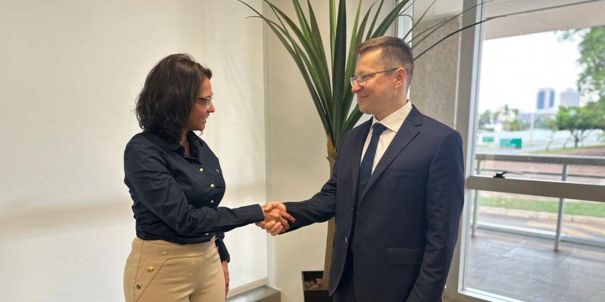 Cooperação entre Rússia e Goiás é tema de reunião na Sedfgo