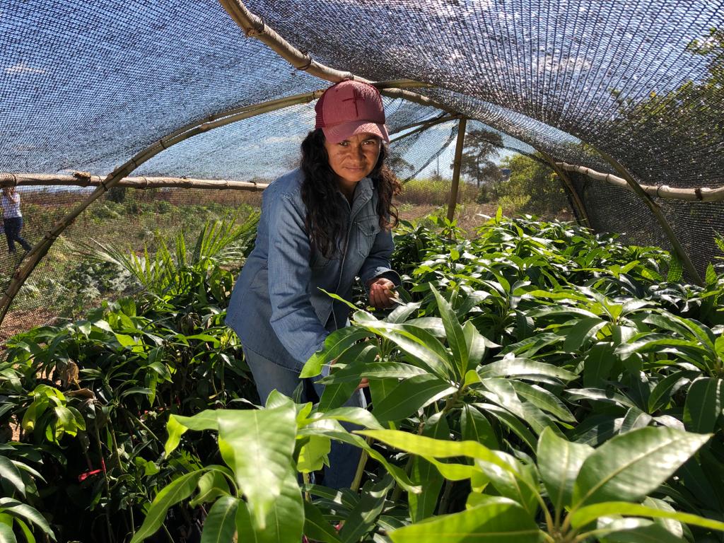 Produtores rurais de Formosa podem inscrever projetos de Fruticultura Irrigada do Vão do Paranã