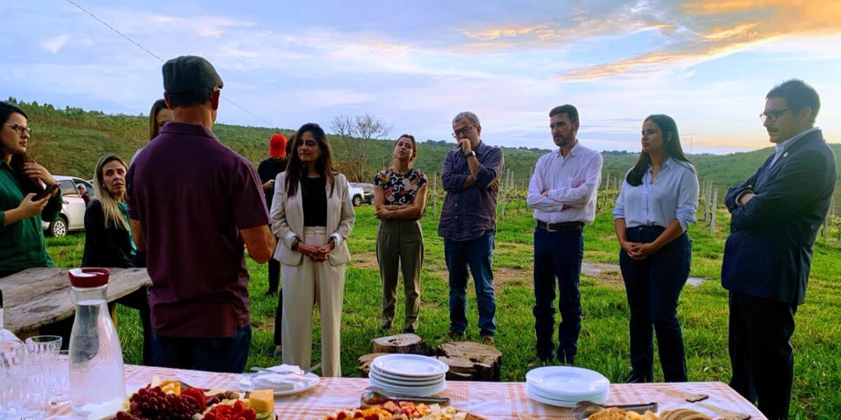 Delegação chilena visita vinhedo em Cocalzinho a convite da Seapa