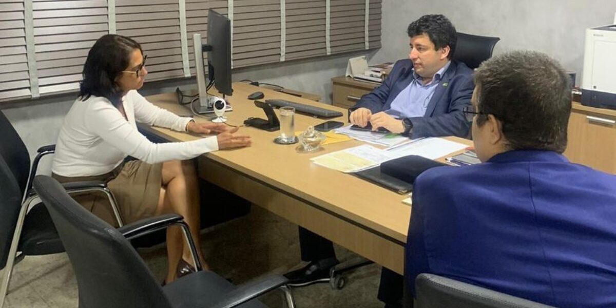 Governo de Goiás lança edital de licitação da primeira etapa do Programa Goiás de Fibra